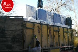 تصویر بارگیری و فروش دستگاه جوجه کشی