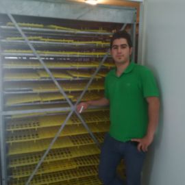 عکس راک ماشین جوجه کشی صنعتی شصت هزار عددی