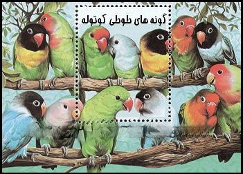 انکیباتور - گونه های طوطی کوتوله