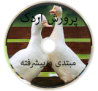 پرورش اردک، مبتدی تا پیشرفته