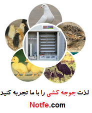 نطفه دات کام - notfe.com