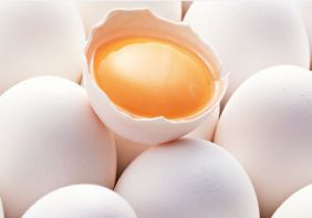 دستگاه جوجه کشی - افزایش 80 درصدی صادرات تخم مرغ از قزوین