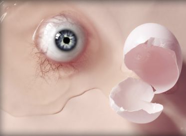 تخم نطفه دار - تخم مرغ و تقویت بینایی