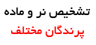 تشخیص نر و ماده بودن پرندگان مختلف - جدول جوجه کشی