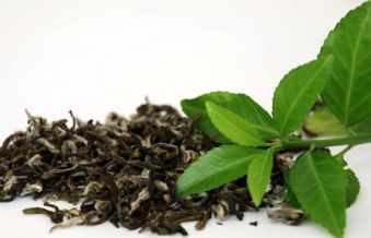 ماشین جوجه درآوری - استفاده از چای سبز به عنوان مکمل خوراک طیور