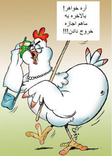 انکیباتور - اعلام پاکی مازندران از آنفلوآنزا و آغاز صادرات از هفته آینده