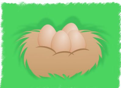 تخم نطفه دار - جوجه کشی تخم مرغ