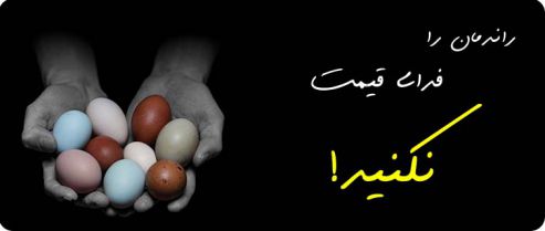تخم نطفه دار - فروش تخم نطفه دار