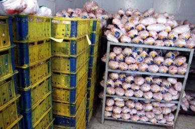 تخم نطفه دار - اصلاح سیستم ترانزیتی به منظور افزایش صادرات مرغ و تخم مرغ