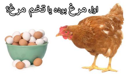 تخم نطفه دار - تاریخچه پیدایش مرغ